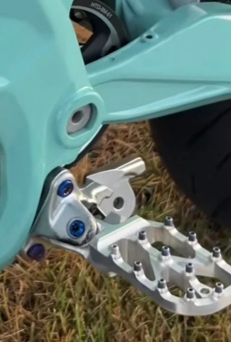 titanium peg bracket bolts (ultra,lbx/eride,talaria)